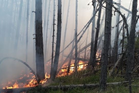 Пожарът над родопското село Югово се разгоря с нова сила